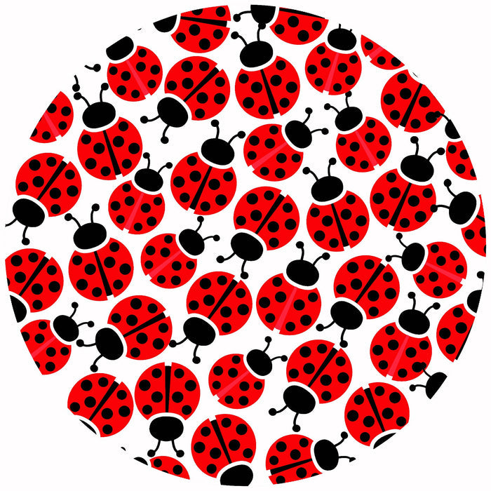 Andreas - Diddle Bug