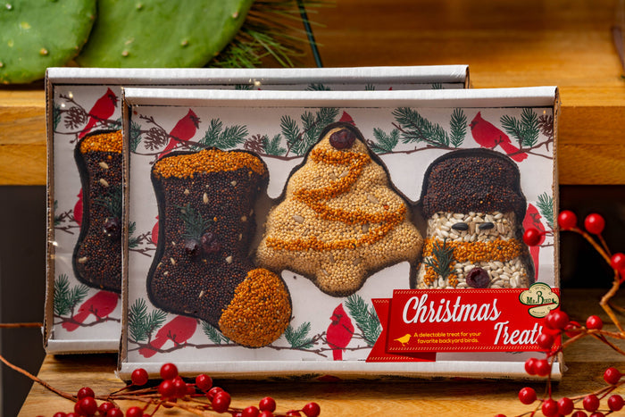 Christmas Shapes - 3Pk