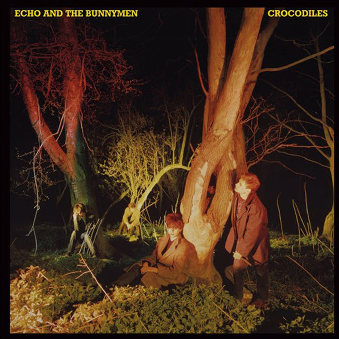 Echo and the Bunnymen - Crocodiles