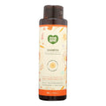 Ecolove - Conditioner Nut Int Cr Strt Hair - 1 Each - 17.6 Oz - Vita-Shoppe.com