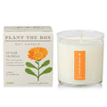 KOBO - Catalan Calendula - Plant the Box Candle - 9oz.