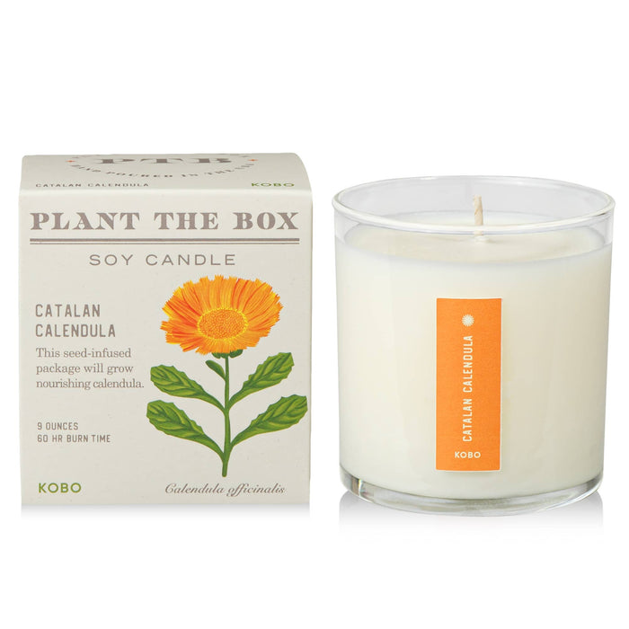 KOBO - Catalan Calendula - Plant the Box Candle - 9oz.