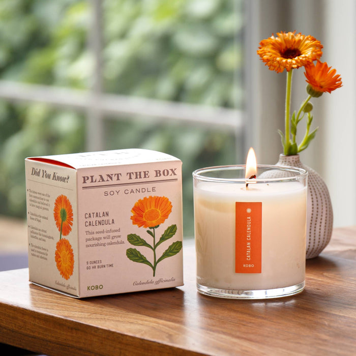 KOBO - Catalan Calendula - Plant the Box Candle - 9oz.