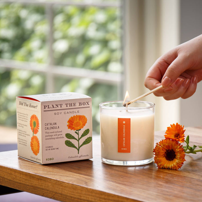 KOBO - Catalan Calendula - Plant the Box Candle - 9oz.