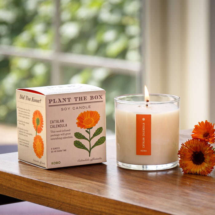 KOBO - Catalan Calendula - Plant the Box Candle - 9oz.