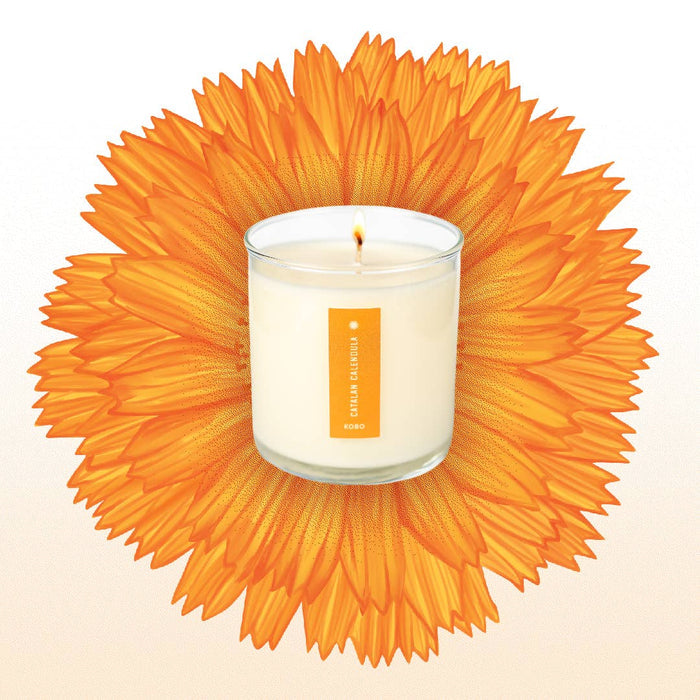 KOBO - Catalan Calendula - Plant the Box Candle - 9oz.