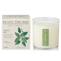 KOBO - Crushed Mint - Plant the Box Candle - 9oz.