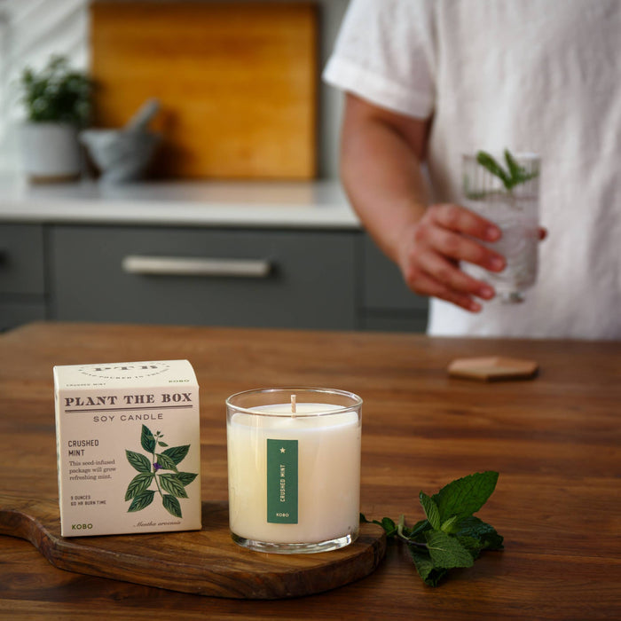 KOBO - Crushed Mint - Plant the Box Candle - 9oz.
