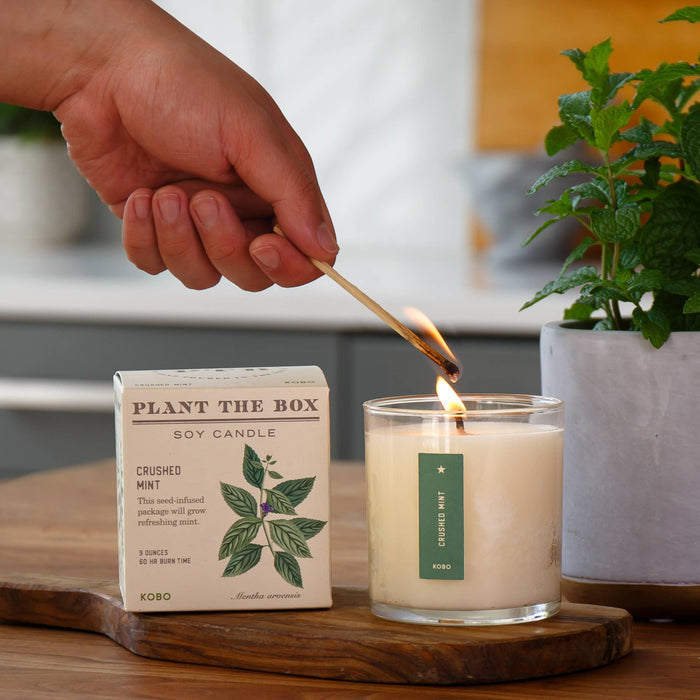 KOBO - Crushed Mint - Plant the Box Candle - 9oz.