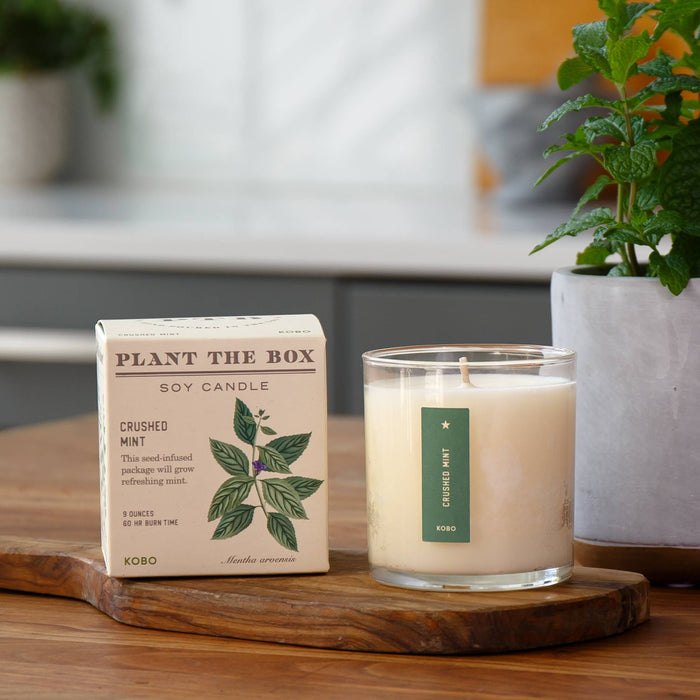 KOBO - Crushed Mint - Plant the Box Candle - 9oz.