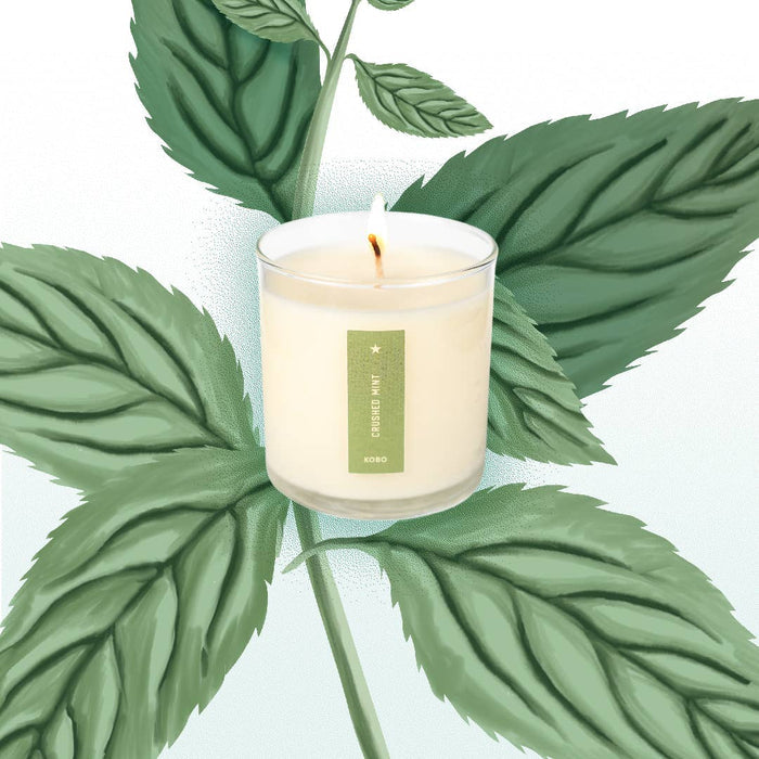 KOBO - Crushed Mint - Plant the Box Candle - 9oz.