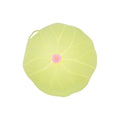 Lillypad Lid