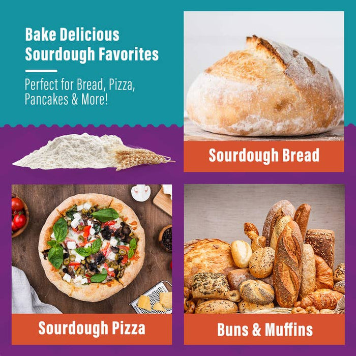 Non-GMO Sourdough Starter | Freeze Dried |  12gm