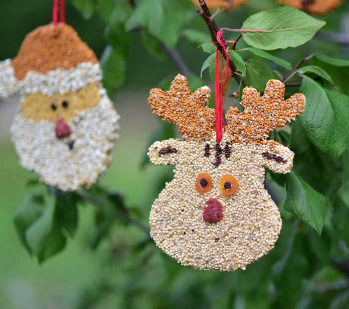 Rudolph Christmas Cookie