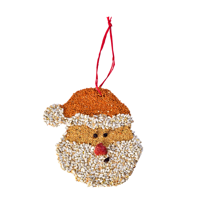 Santa Christmas Cookie
